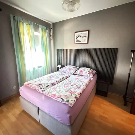 Gemuetliche Apartment Bendorf